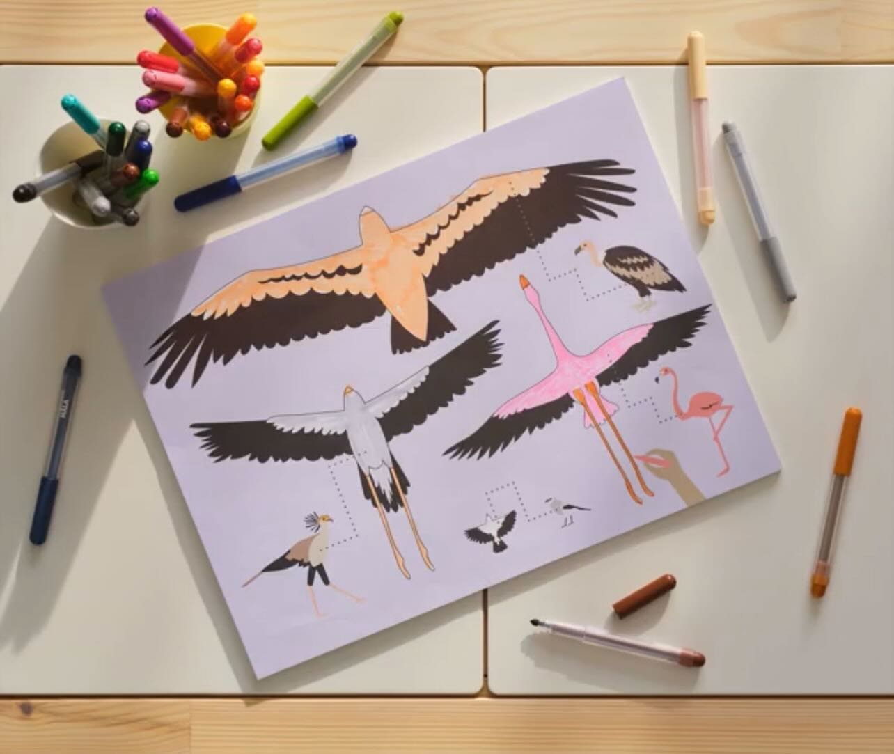 Libro de actividades - animales y paisajes